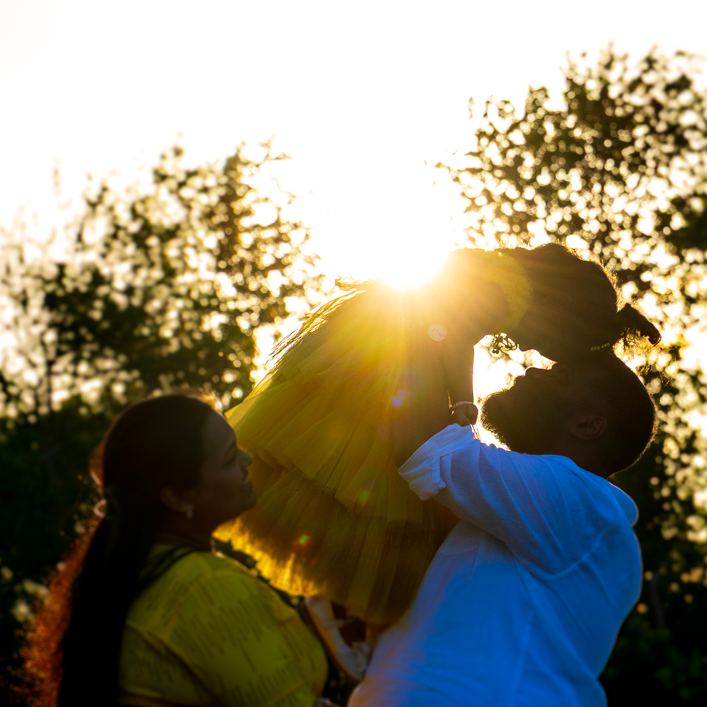 OpenGate Celluloid storytelling image